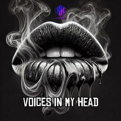 VOICES IN MY HEAD