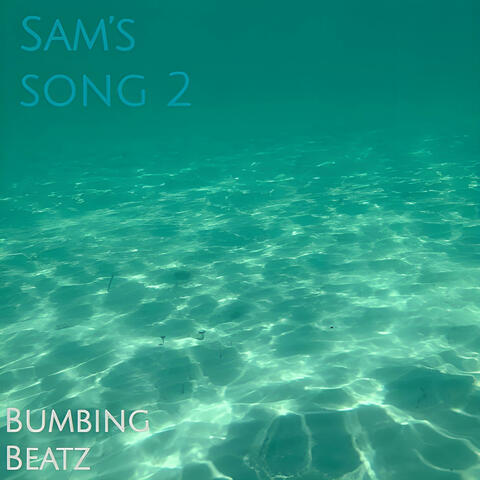 Sam's Song 2