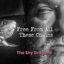 Free From All These Chains