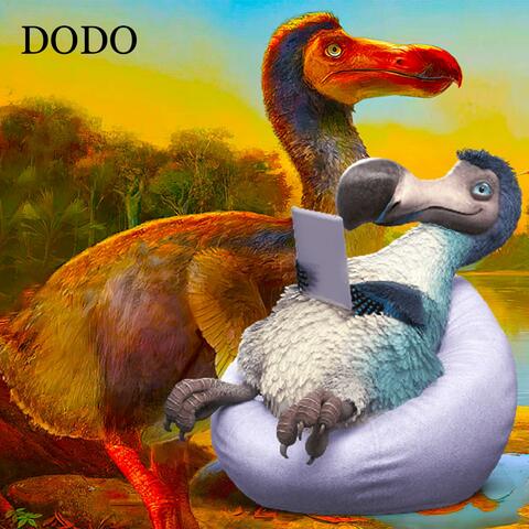 DODO