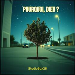 Pourquoi, Dieu? (Radio Edit)