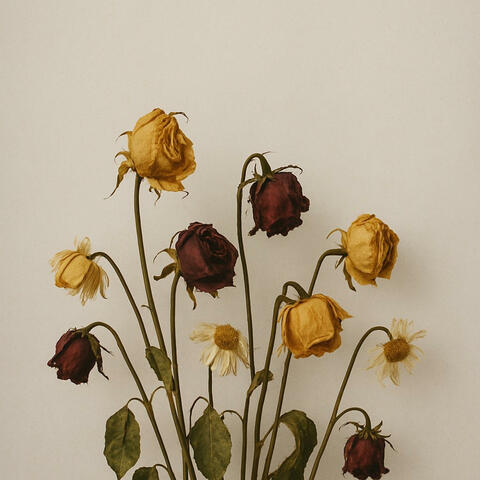 The Beauty Of An Ending