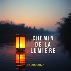 Chemin de la lumière (Radio Edit)