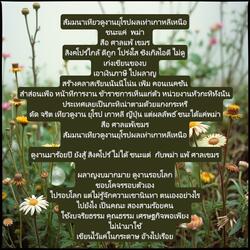 สัมมนาเที่ยวดูงานยุโรปผลเท่าเกาหลีเหนือ