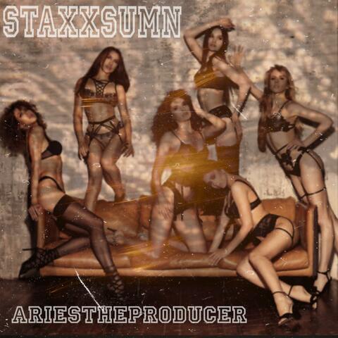 FINE SHTT / POP IT (feat. Aries the Producer)