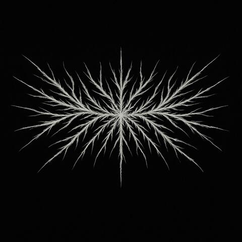 Nexovoid
