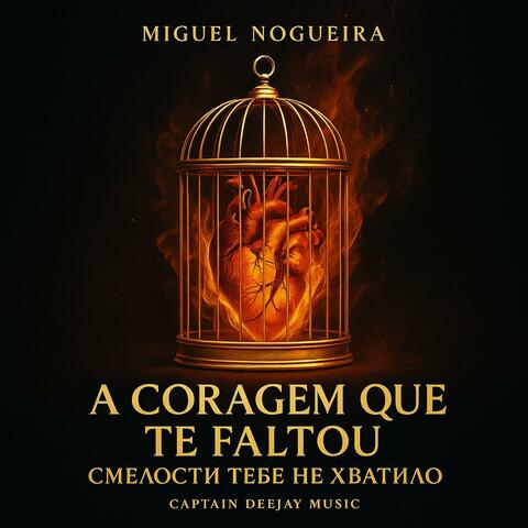 A Coragem que te faltou