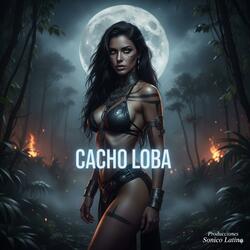 Cacho Loba
