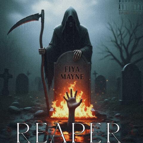 REAPER