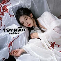 รอยหมึกบนผ้าไหม