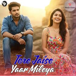 Tere Jaise Yaar Mileya