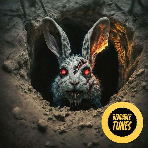 Down The Rabbit Hole