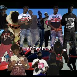 Perdestrial