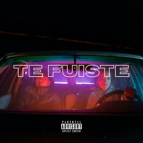 Te Fuiste