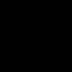 THOUGHTS IN THE DARK