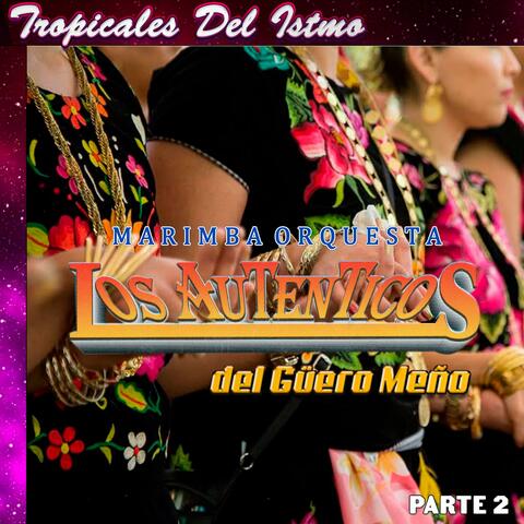 Marimba Orquesta Los Autenticos Del Güero Meño Parte 2