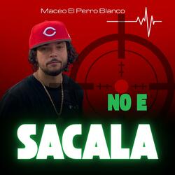 no e sacala