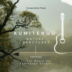 KUMITENGO "Trees' Rest"