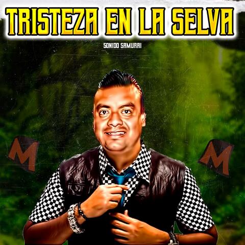Tristeza En La Selva