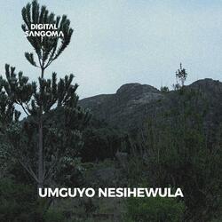 Umguyo Nesihewula (Extended DJ Edit)
