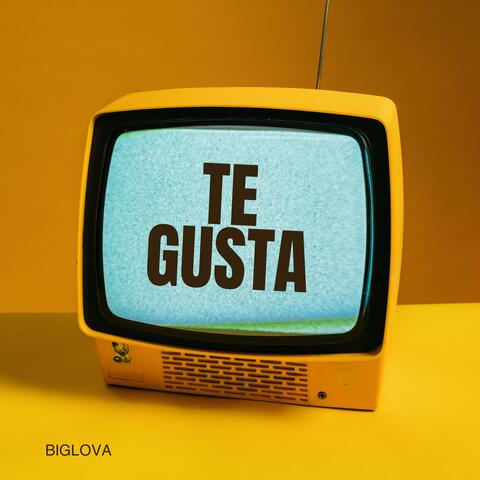 TE GUSTA