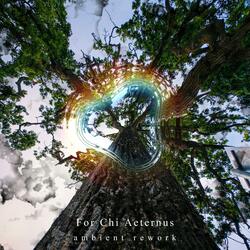 For Chi Aeternus (ambient rework)