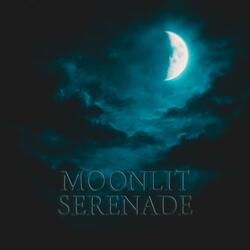 Moonlit Serenade
