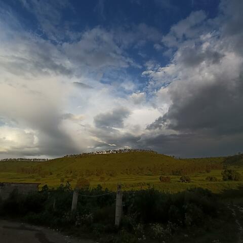 Barrio Viejo (Special Version en vivo)