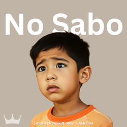 No Sabo (feat. Reyna la Reina) ([.music] Remix)