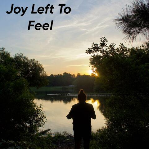 Joy Left to Feel