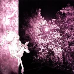 I see your perfect body in the starry sky