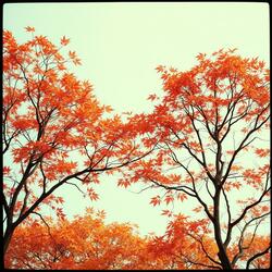 Entre l’été et l’automne