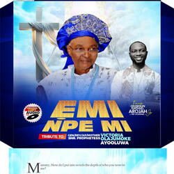 EMI NPE MI