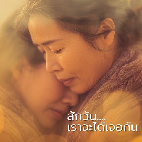 สักวันเราจะได้เจอกัน