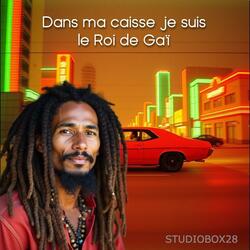 Dans ma caisse je suis le Roi de Gaï (Radio Edit)