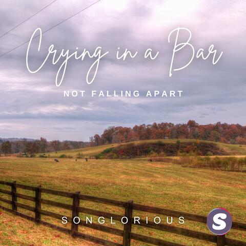Crying In A Bar (Not Falling Apart)