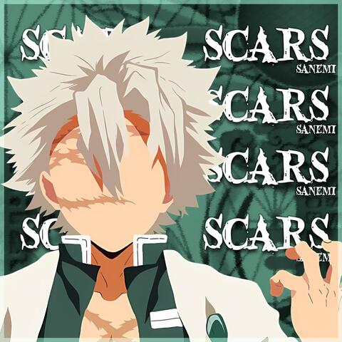 Scars (Demon Slayer)