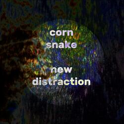 New Distraction