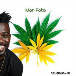 Mon poto (Radio Edit)
