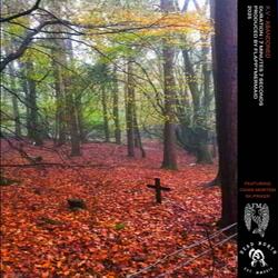 HollowFigures (feat. sk.priker)