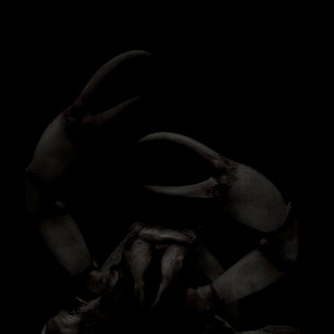 SLASHER