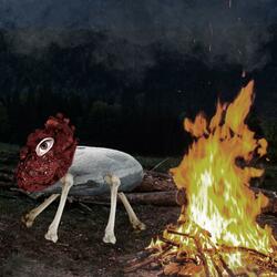 Campfire Heart
