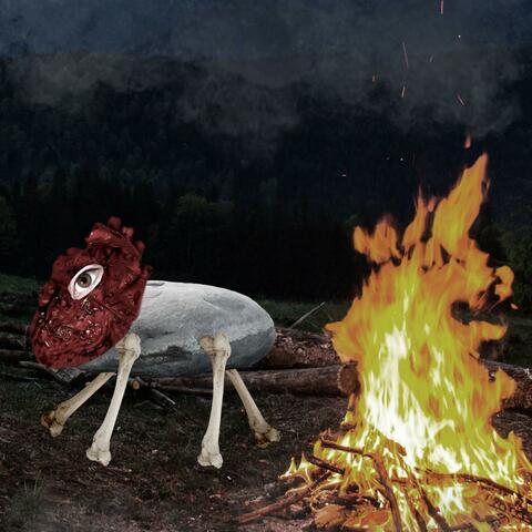 Campfire Heart