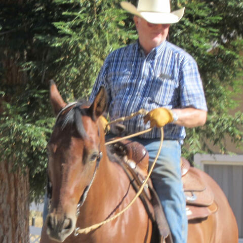 The Seasons on the Ranch