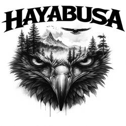 Hayabusa