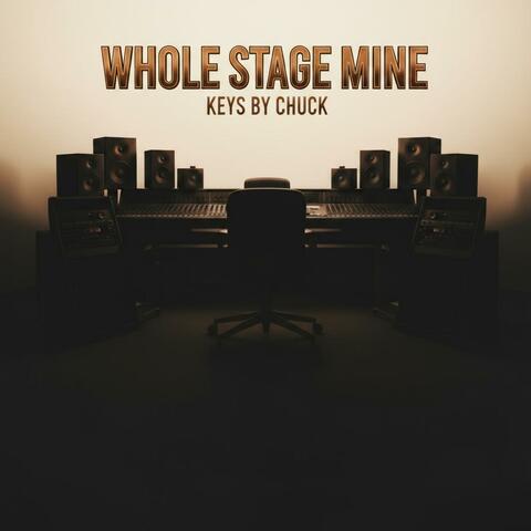 Whole Stage Mine