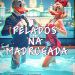 PELADOS NA MADRUGADA PHONK