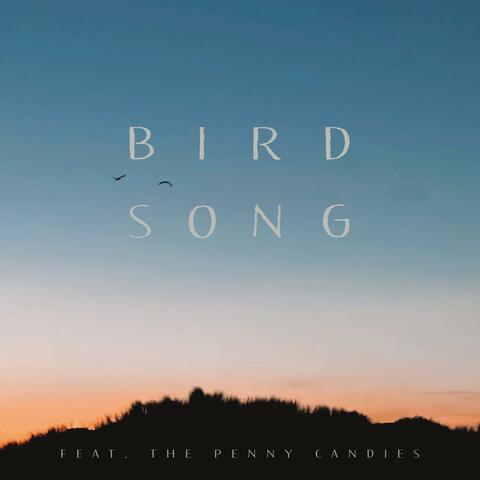 Bird Song