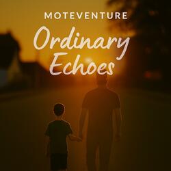 Ordinary Echoes