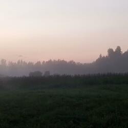 more like u (feat. hollons)